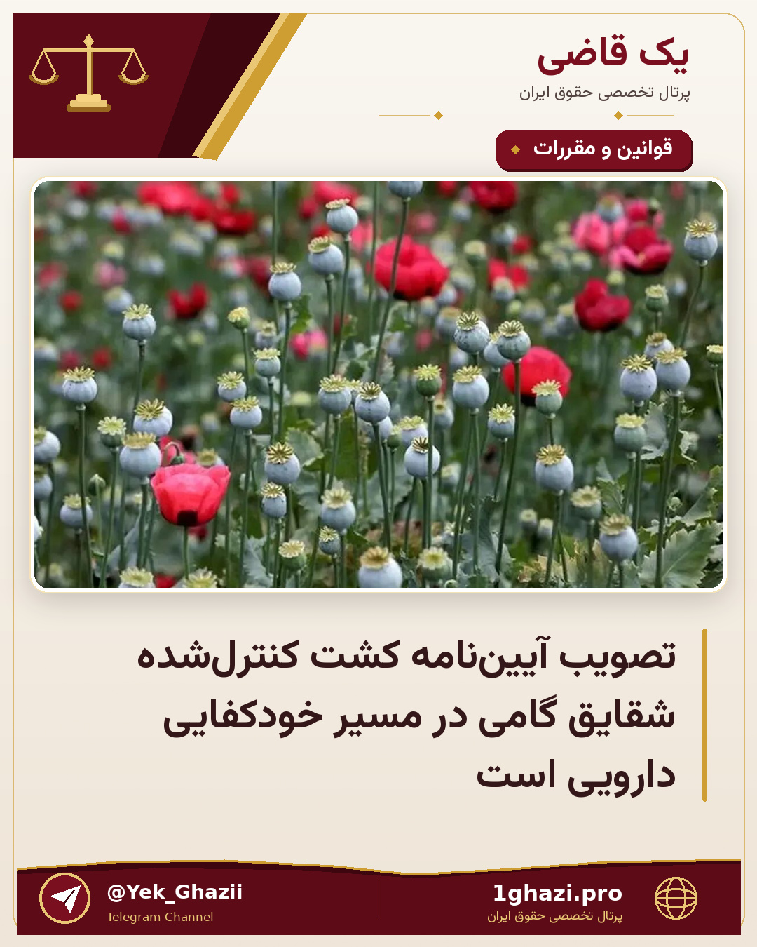 تصویب آیین‌نامه کشت کنترل‌شده شقایق گامی در مسیر خودکفایی دارویی است