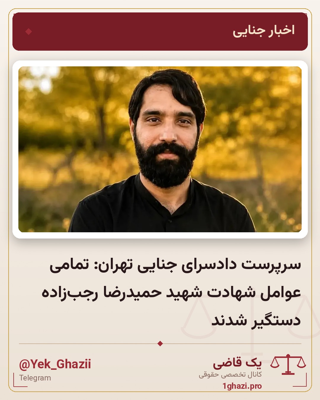 سرپرست دادسرای جنایی تهران: تمامی عوامل شهادت شهید حمیدرضا رجب‌زاده دستگیر شدند